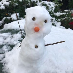 Meet your Posher, Alfonso